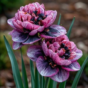 Нарцисс Моргатн Мотив купить по цене от 2000р. в интернет-магазине «Посадика» с доставкой почтой в в Беловое и по всей России – [изображение №1].