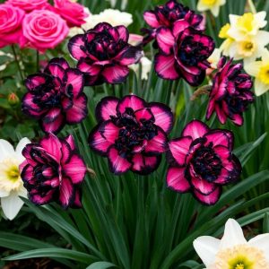 Нарцисс Золотая Корона купить по цене от 2000р. в интернет-магазине «Посадика» с доставкой почтой в в Беловое и по всей России – [изображение №1].